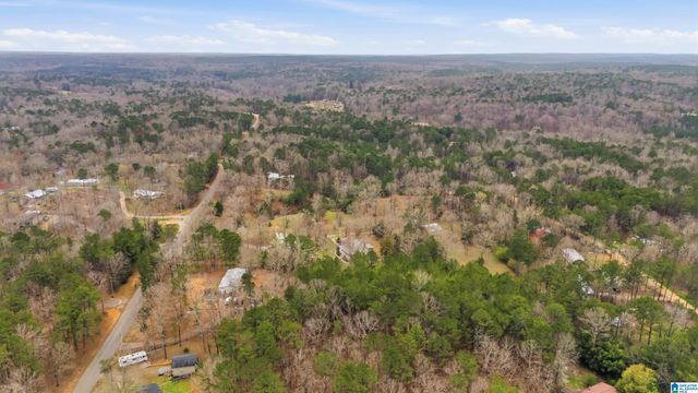 12864 BRASWELL DRIVE, Mccalla, AL 35111