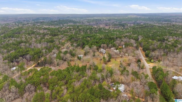 12864 BRASWELL DRIVE, Mccalla, AL 35111