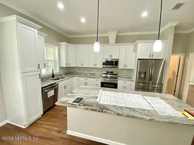 2462 VIOLA Street, Middleburg, FL 32068