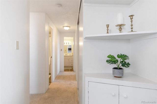 1155 N Ash Street 1407, Denver, CO 80220