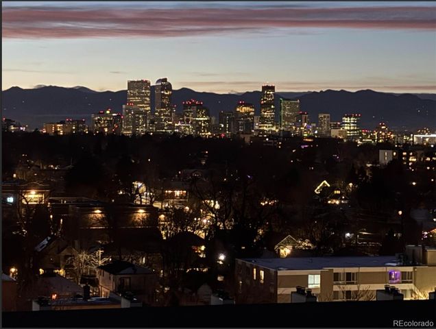 1155 N Ash Street 1407, Denver, CO 80220