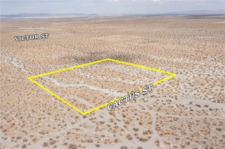 31001214 Cactus Road, Pinon Hills, CA 92372