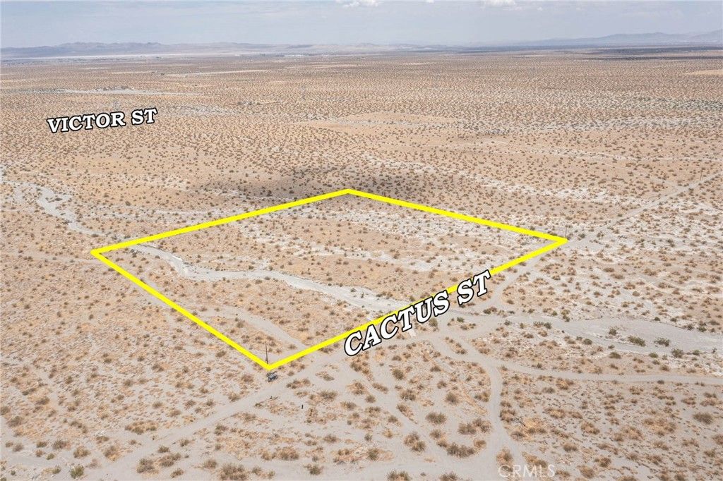 31001214 Cactus Road, Pinon Hills, CA 92372