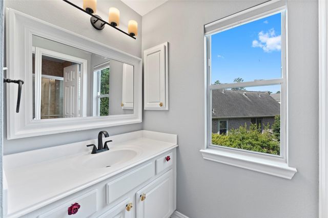 18 Degas Park, The Woodlands, TX 77382