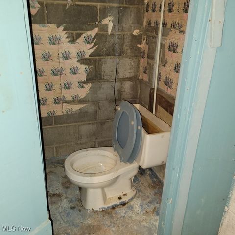 11102 Lardet Avenue, Cleveland, OH 44104