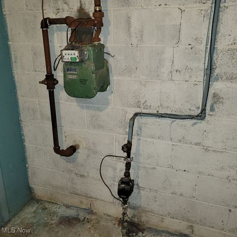 11102 Lardet Avenue, Cleveland, OH 44104