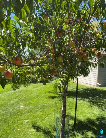 4405 E Aster Cir Circle, Sioux Falls, SD 57103