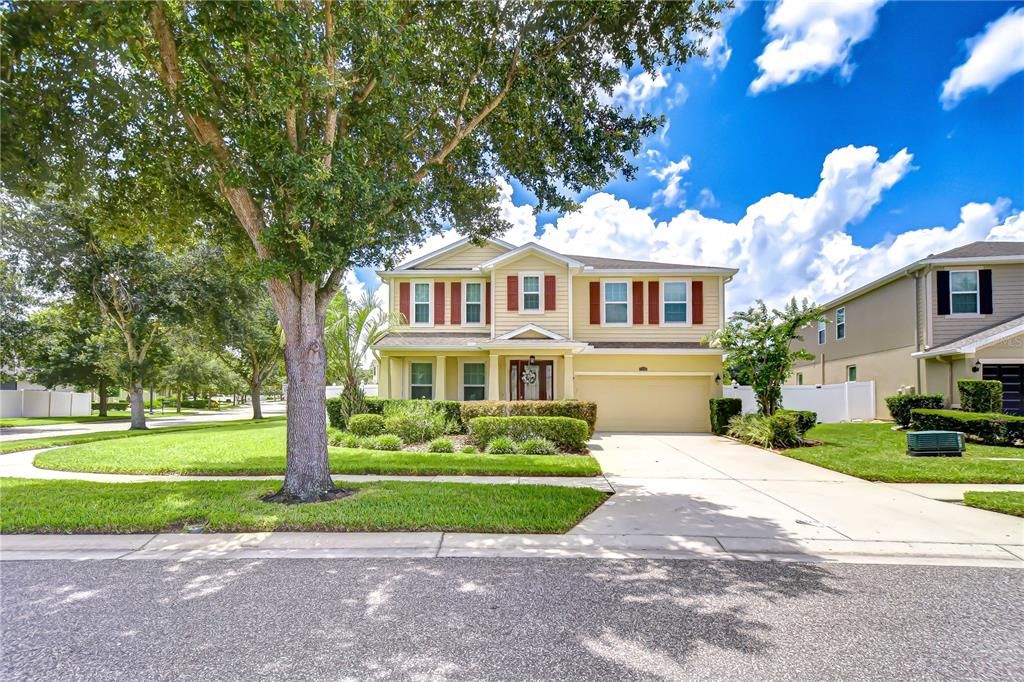 2499 CALVANO DRIVE, Land O Lakes, FL 34639