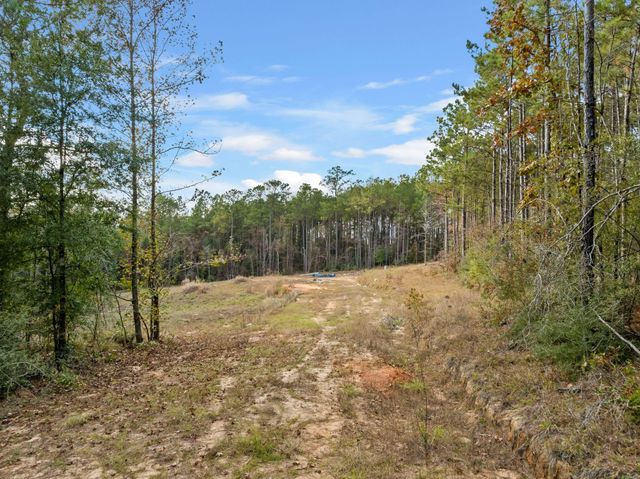 143 Luther Saucier, Lumberton, MS 39455