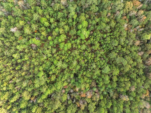 143 Luther Saucier, Lumberton, MS 39455