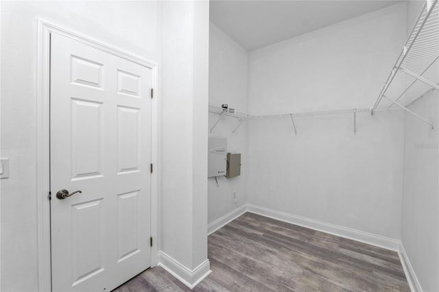 30816 PUMPKIN RIDGE DRIVE, Wesley Chapel, FL 33543