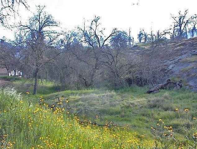 247 Squaw Valley Road, Yokuts Valley, CA 93675