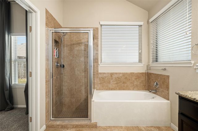 28910 Dryander Forest Court, Katy, TX 77494