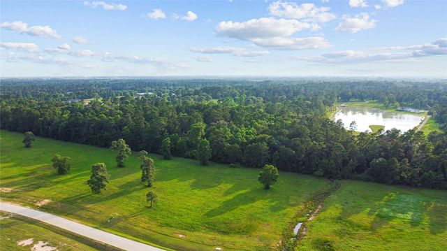 2040 Stallion Lakes Avenue, Hockley, TX 77447