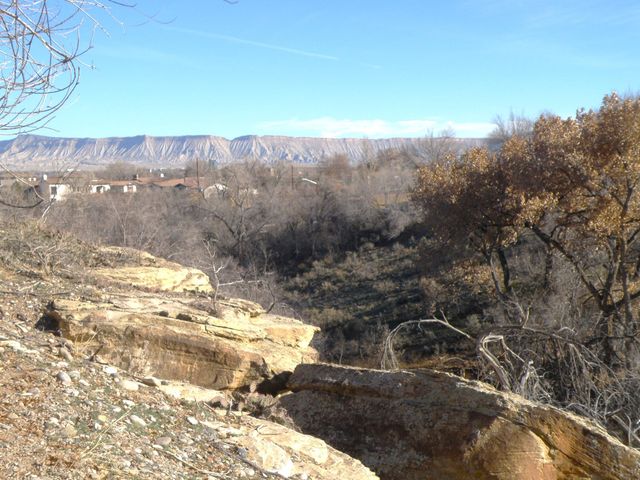 2449 Broadway, Grand Junction, CO 81507