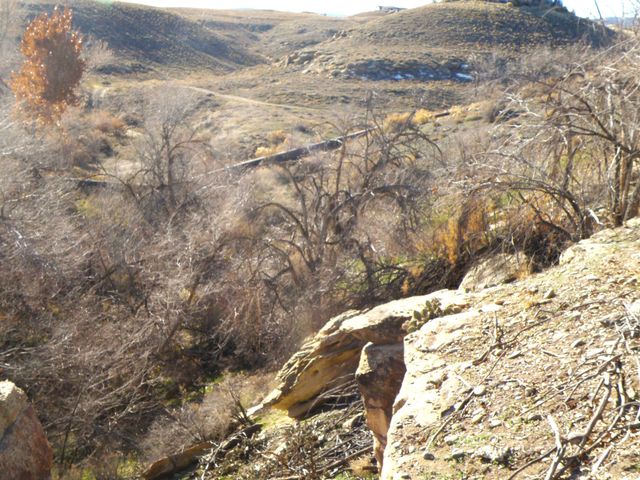 2449 Broadway, Grand Junction, CO 81507