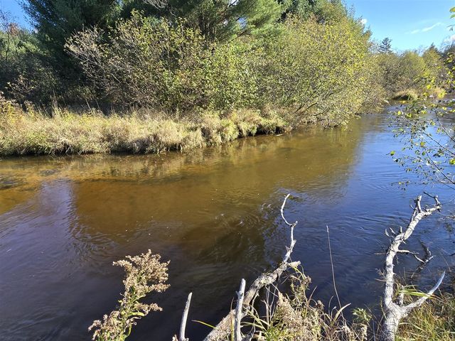 10652 N River Road, Irons, MI 49644