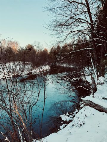 10652 N River Road, Irons, MI 49644