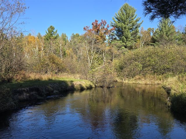 10652 N River Road, Irons, MI 49644