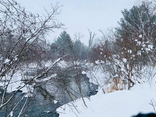 10652 N River Road, Irons, MI 49644