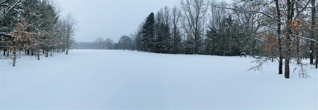 10652 N River Road, Irons, MI 49644