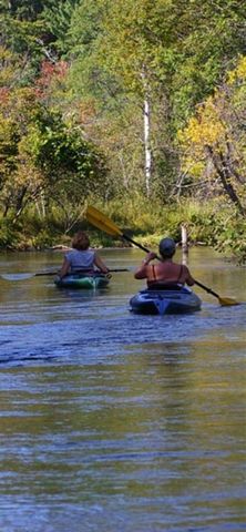 10652 N River Road, Irons, MI 49644