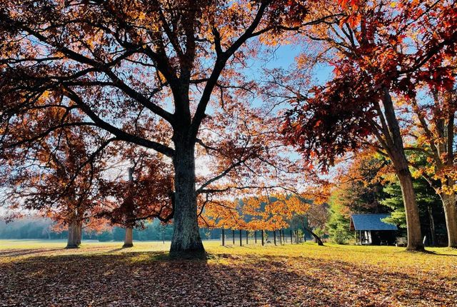 10652 N River Road, Irons, MI 49644