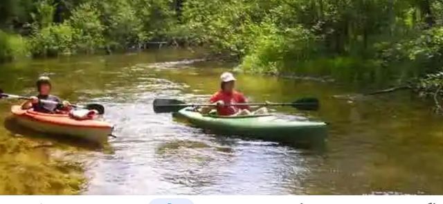 10652 N River Road, Irons, MI 49644