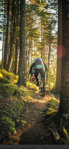 10652 N River Road, Irons, MI 49644