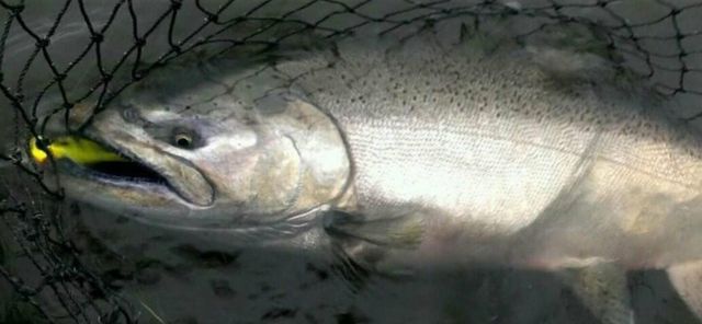 10652 N River Road, Irons, MI 49644