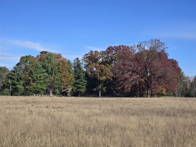 10652 N River Road, Irons, MI 49644