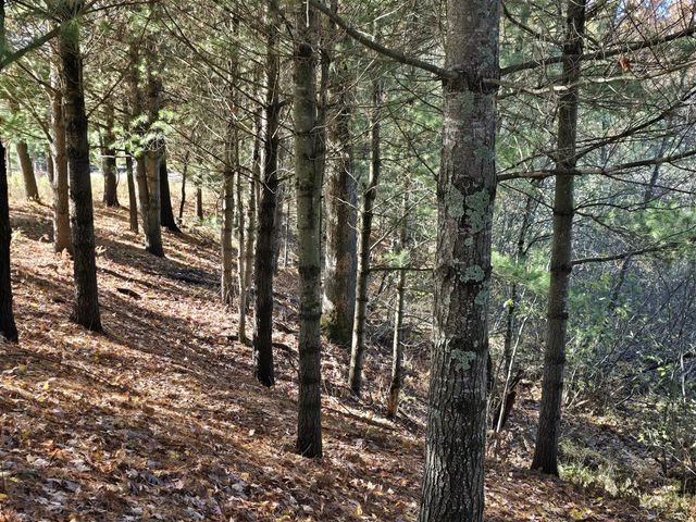 10652 N River Road, Irons, MI 49644