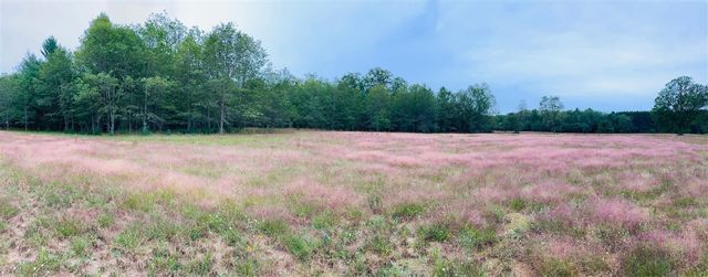 10652 N River Road, Irons, MI 49644