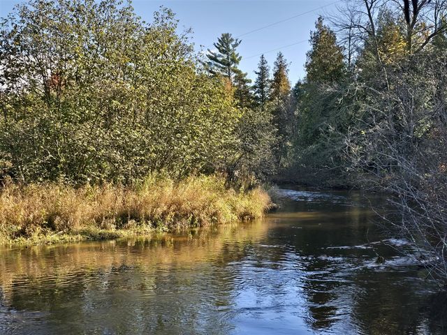 10652 N River Road, Irons, MI 49644