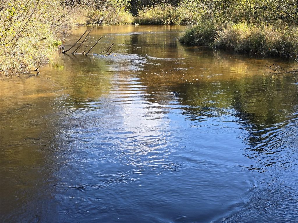 10652 N River Road, Irons, MI 49644