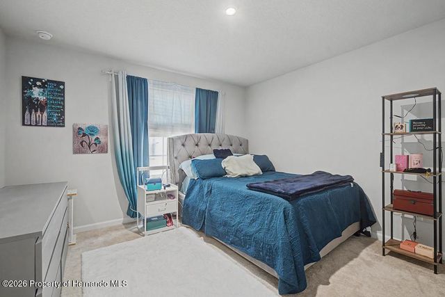169 Borland Street, Brooksville, FL 34604