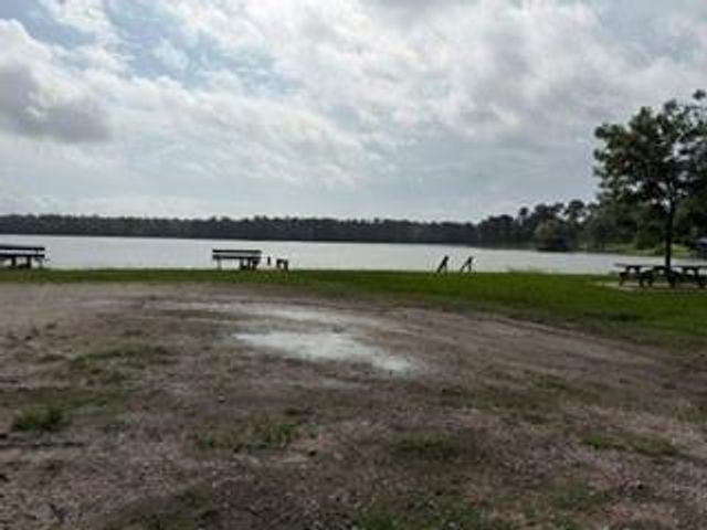 81 E Bishop Road, Point Blank, TX 77364