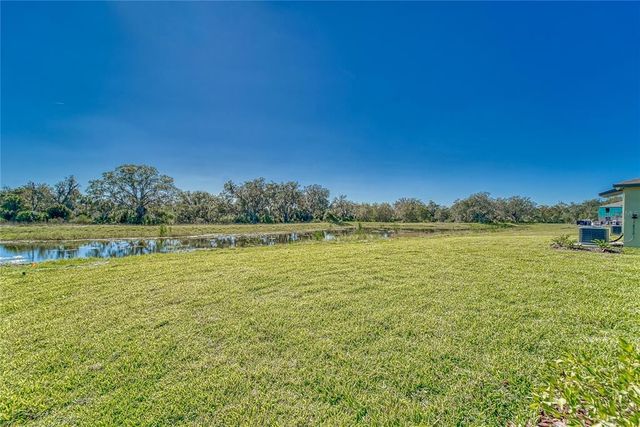10245 SHADY PRESERVE DRIVE, Riverview, FL 33578