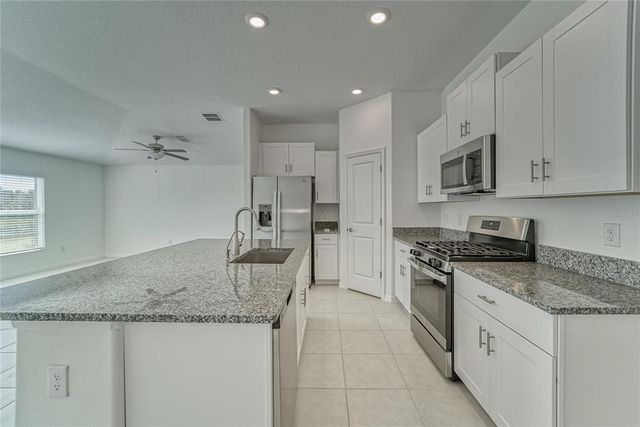 10245 SHADY PRESERVE DRIVE, Riverview, FL 33578