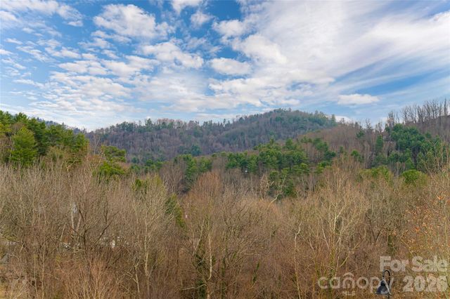 22 Snap Dragon Court, Asheville, NC 28804