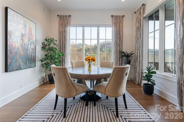 22 Snap Dragon Court, Asheville, NC 28804