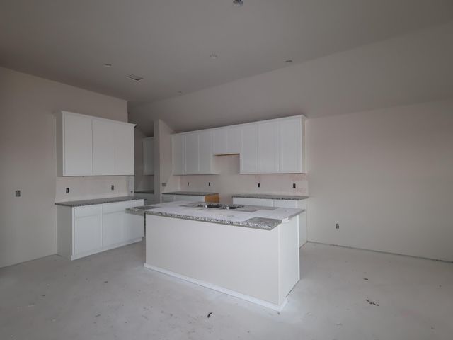 13705 Warnock TRL, Manor, TX 78653