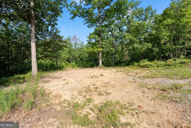 4061,4063,4065, Historic Old Highway 441, Clarkesville, GA 30523
