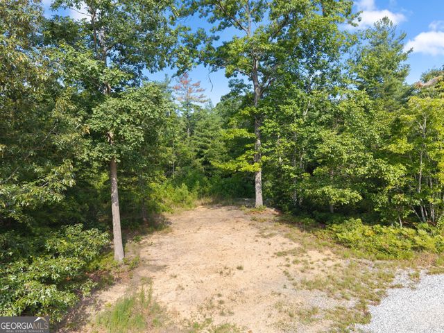 4061,4063,4065, Historic Old Highway 441, Clarkesville, GA 30523