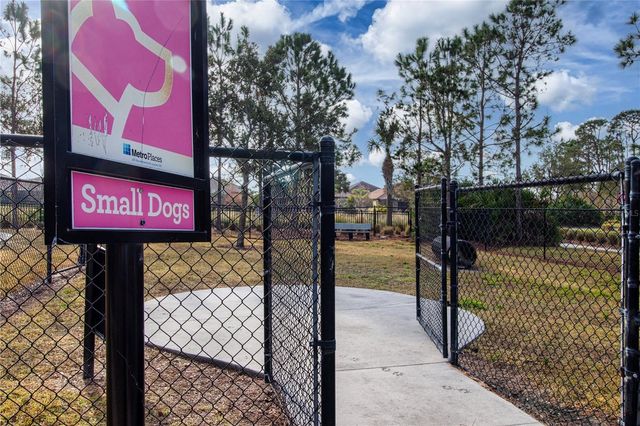 13307 FAWN LILY DRIVE, Riverview, FL 33579