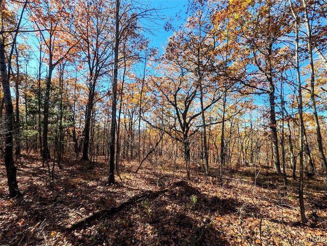 3223 County Route 2, Rathbone, NY 14801