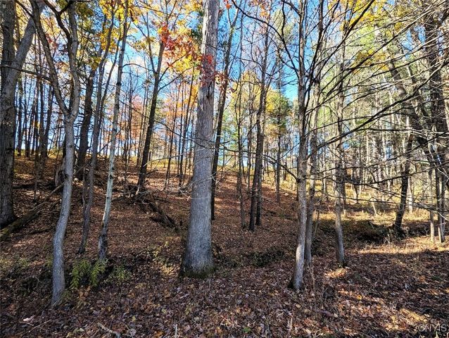 3223 County Route 2, Rathbone, NY 14801