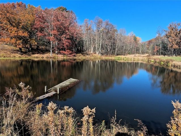 3223 County Route 2, Rathbone, NY 14801