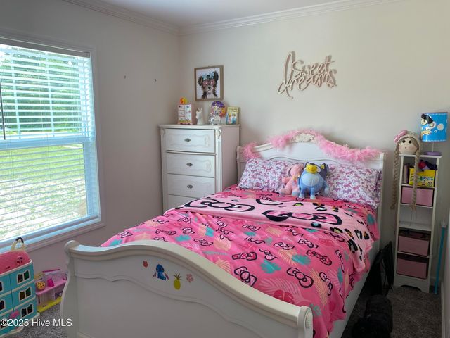 1704 Harrelsonville Road, Whiteville, NC 28472