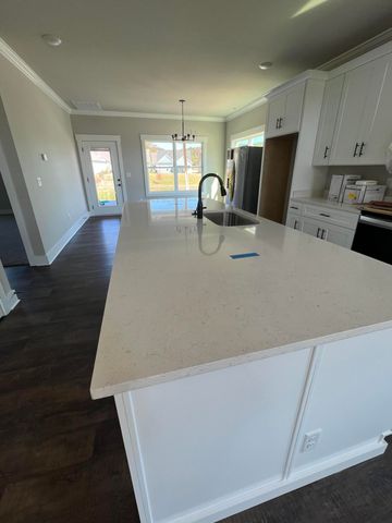 344 Willow Grove Court 69, Ringgold, GA 30736